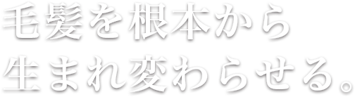 毛髪を根本から生まれ変わらせる。